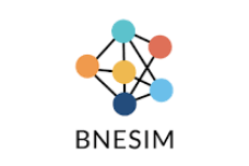 BNESIM