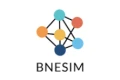 BNESIM Logo