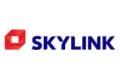 Skylink Logo